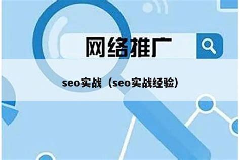 seo373|SEO实战 核心技术、优化策略、流量提升 .